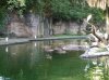 20160823_092706.jpg