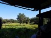 20160823_092914.jpg