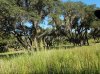20160823_092950.jpg