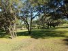 20160823_092956.jpg