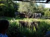 20160823_093020.jpg