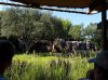 20160823_093039.jpg