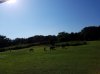 20160823_093224.jpg