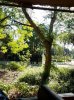 20160823_093558.jpg