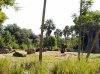 20160823_093702.jpg
