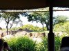 20160823_094048.jpg