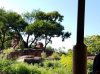 20160823_094115.jpg