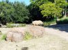 20160823_094127.jpg