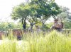 20160823_094137.jpg
