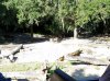 20160823_094226.jpg