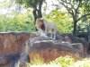 20160823_094539.jpg