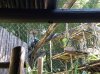 20160823_100102.jpg