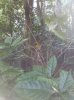 20160823_100435.jpg