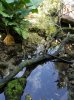 20160823_100500.jpg