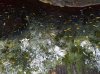 20160823_100541.jpg