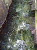 20160823_100553.jpg
