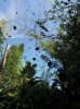 20160823_100605.jpg
