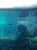20160823_100837.jpg