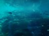 20160823_101054.jpg