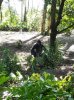 20160823_101730.jpg