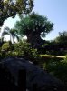 20160823_102600.jpg