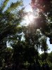 20160823_102619.jpg