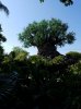 20160823_102654.jpg