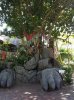20160823_102829.jpg