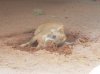 20160823_130438.jpg