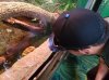 20160823_131156.jpg