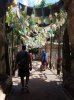 20160823_134916.jpg