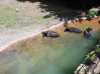 20160823_134929.jpg