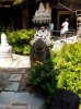 20160823_142647.jpg