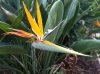 20160823_182448.jpg