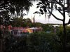 swiss family treehouse 2.jpg