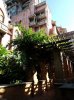 20160825_091905.jpg