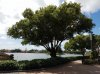 20160826_111907.jpg