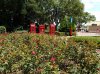 20160826_132528.jpg