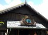 20160826_134344.jpg