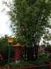 20160826_140948.jpg