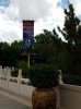 20160826_140953.jpg