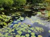 20160826_141007.jpg