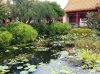 20160826_141010.jpg