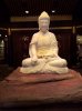 20160826_144044.jpg