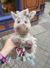 20160826_172403.jpg