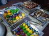 20160826_200513.jpg