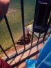 20160826_200636.jpg