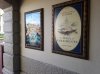 20160827_084618.jpg