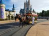 20160827_085148.jpg