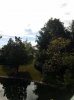20160827_102204.jpg
